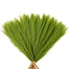 Planta seca: frutas, verde-limão, capim-dos-pampas, 43 cm, 30 unidades