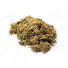 Planta Seca Musgo Buxinho Verde cm