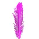 Planta Seca Palmeira Cica Pink 70cm