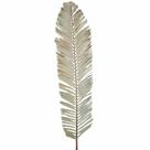 Planta Seca Palmeira Leque 70cm Planta Seca Palmeira Leque 70cm