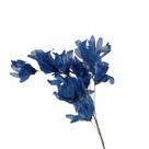 Planta Seca Pimentinha no Espeta Azul Planta Seca Pimentinha no Espeta Azul