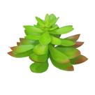Planta Suculenta Flor Grande Artificial para Arranjos