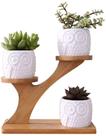 Plantador de suculentas, lindo vaso de coruja, decoração de vaso de flores, escritório doméstico Plantador de suculentas, lindo vaso de coruja, decoração de vaso de flores, escritório doméstico
