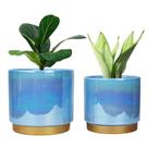 Plantador YFFSRJDJ Vasos de plantas de flores de cerâmica com orifício de drenagem