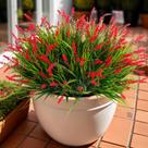 Plantas artificiais Ammyoo Monkey Grass, decoração ao ar livre, resistência aos raios UV
