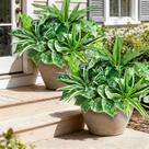 Plantas artificiais Cherica Faux Greenery resistentes a UV 18 unidades