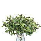 Plantas artificiais Erlandens Faux Olive Leaves Caules x30