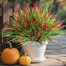 Plantas artificiais Ivydale Monkey Grass 10 unidades vermelhas ao ar livre