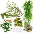 Plantas Artificiais para Terrário de Répteis PieTyPet - Trepadeiras Penduradas + Acessórios