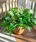 Plantas de vegetação artificial Starttag resistentes aos raios UV (verdes)