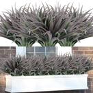 Plantas falsas de grama artificial Phliofd 16 unidades resistentes a UV