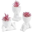 Plantas suculentas artificiais Der Rose Pink Room Decor (3 unidades)