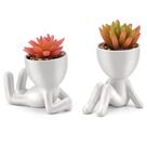 Plantas suculentas artificiais em vasos de cerâmica para decoração de escritório