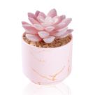 Plantas suculentas artificiais ZENIDA com vasos de cerâmica rosa