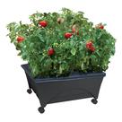 Planter Emsco Group City Picker Raised Bed Grow Box Mobile