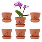 Planter JUXYES, pacote com 6 vasos de orquídeas de terracota com pires de 10 cm