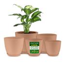 Planter Pots Lifemaster, leve e durável, conjunto de 5 rosas Planter Pots Lifemaster, leve e durável, conjunto de 5 rosas