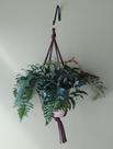 Planter Primitive Planters Macramé Plant Hanger 8 cores
