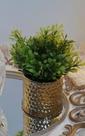 Plantinha Decorativa