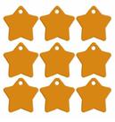 Plaquinha de Identificação para pets e animais de estimação com gravação à laser - Formato Estrela Plaquinha de Identificação para pets e animais de estimação com gravação à laser - Formato Estrela