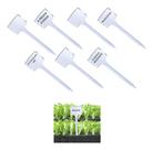 Plaquinha Placa De Identificação De Plantas E22 150 Unidades - - Branca