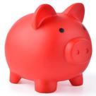 Plástico inquebrável Piggy Bank PJDRLLC para meninas e meninos