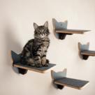 Playground Gato 4pçs com Carpete Antiderrapante Resistente