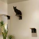 Playground Gato Reforçado com 3 Degraus em MDF 15mm LAMINADO Com Carpete Montado Parque Para Gatos