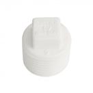 Plug 1 /2 Roscavel