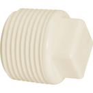 Plug Branco Amanco Rosca/Rosca 1.1/2''X1.1/2'' 10205/11762 - Kit C/16