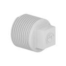 Plug C/ Rosca 1.1/2 - Branco