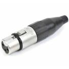 Plug Canon Femea Xlr Sa2x Santo Angelo