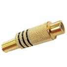 Plug Jack RCA Fêmea 6mm Dourado