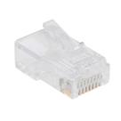 Plug Modular Rj45 8p8c Storm 100 Unidades