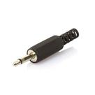 Plug P2 com Rabicho - Mono Plug P2 com Rabicho - Mono