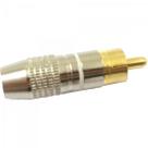Plug RCA Profissional PGRC0015 Branco Storm - DEZ / 10