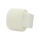 Plug Rosca Rr Amanco 1/2 - Kit C/50 PC