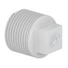 Plug roscável 1.1/2 - tigre