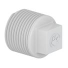 Plug Roscável 1.1/2” Tigre