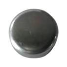 Plugue - Case 16988301