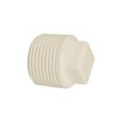 Plugue Roscável água Fria Branco 3/4"