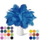 Plumas de Avestruz Azul Claro NEWONG 30 piezas 28-35 cm para Manualidades