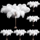 Plumas de Avestruz Berlune 150 Piezas 30-35 cm Blancas