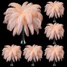 Plumas de Avestruz Berlune 150 Piezas Naturales 30-35 cm Champagne