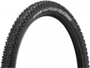 Pneu 29x2.25 Racing Ralph Performance TLR ADDIX
