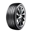 Pneu Aptany Aro 17 RA301 195/40R17 81W