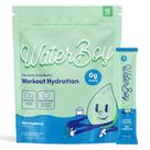 Pó de hidratação Waterboy Workout Sugar Free Electrolyte Pó de hidratação Waterboy Workout Sugar Free Electrolyte