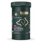 Pó de Saúde Intestinal VetriScience Entero Flora Pro 60g