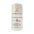 Pó Descolorante Dust Free Divine Mèches 500g Pó Descolorante Dust Free Divine Mèches 500g