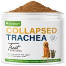 Pó para Tosse Canina VivaElixir Suporte Imunológico Herbal 90 g Pó para Tosse Canina VivaElixir Suporte Imunológico Herbal 90 g